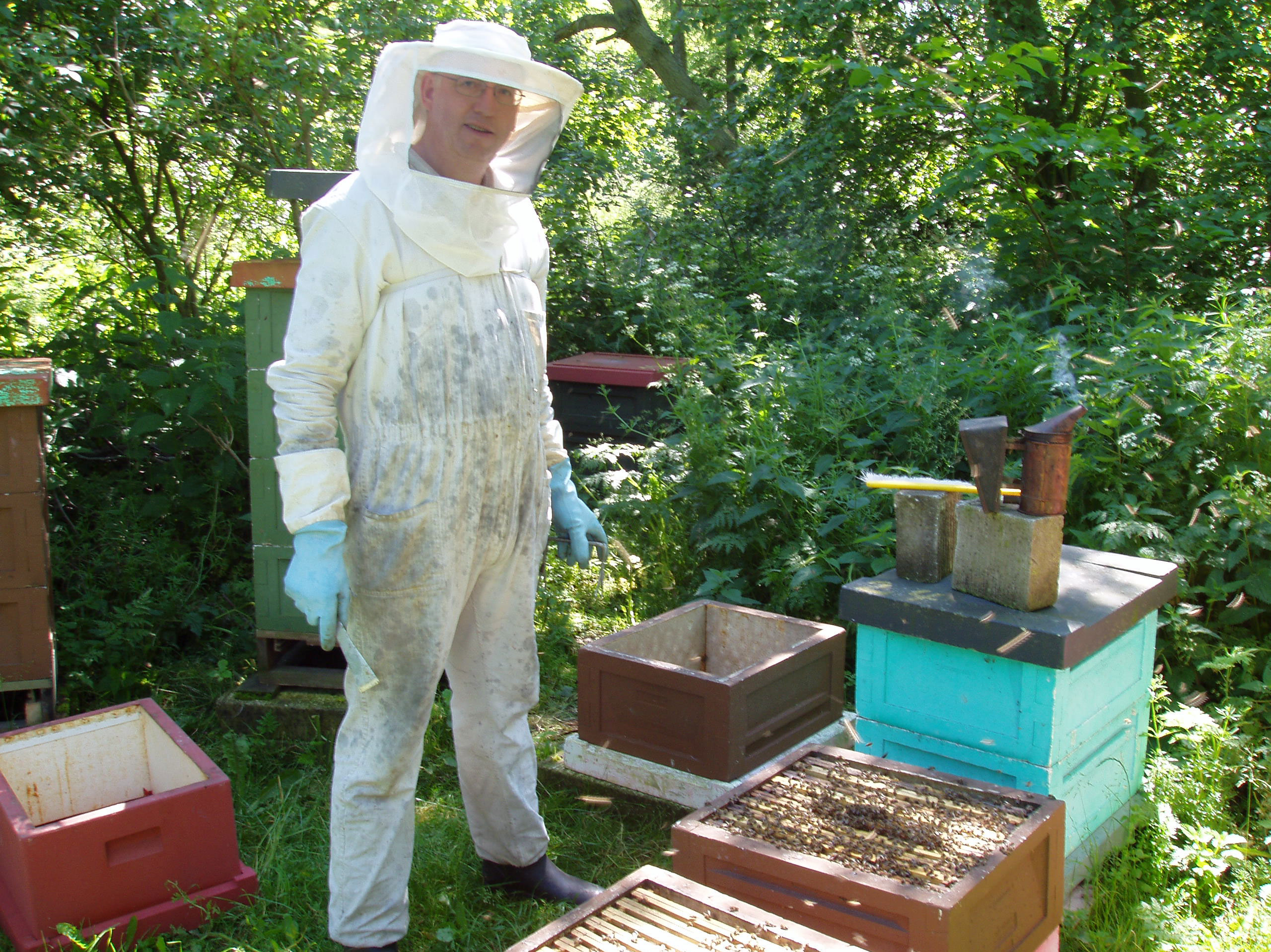Biavleren i arbejde