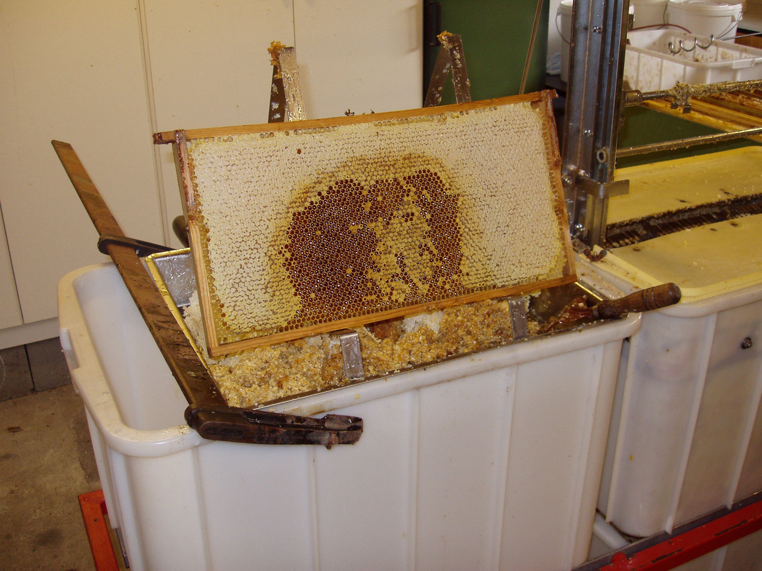 Honningtavle der har indeholdt yngel